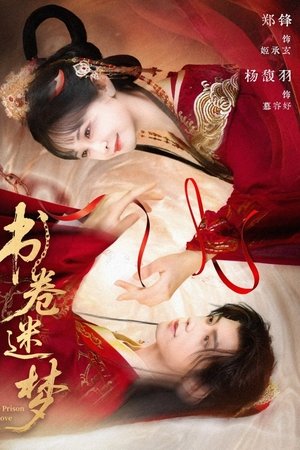 书卷迷梦