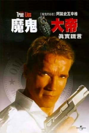 真实的谎言