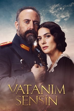 Vatanım Sensin第2季