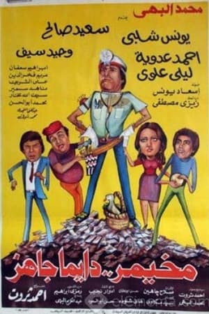 مخيمر دايما جاهز