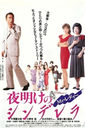 Mr.レディー 夜明けのシンデレラ
