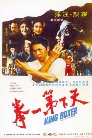 天下第一拳