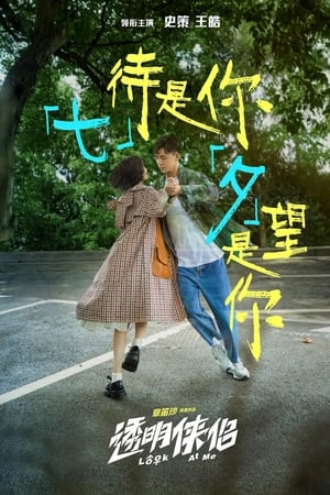 透明侠侣