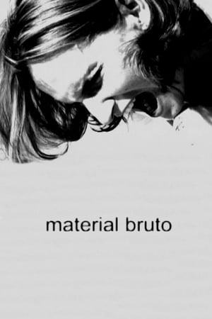 Material Bruto