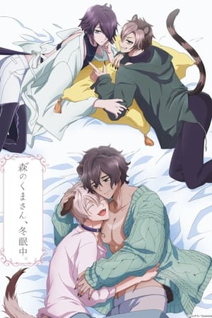 森林里的熊先生、冬眠中。