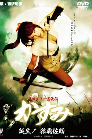 真田女忍者霞传4：诞生
