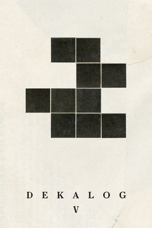 十诫5：切勿杀人
