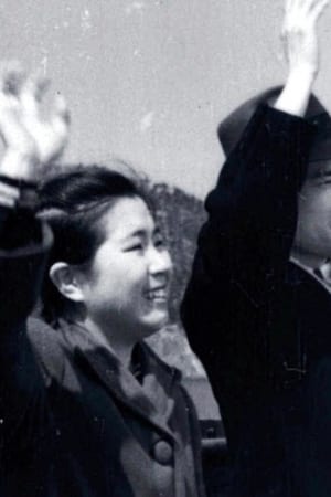갈매기
