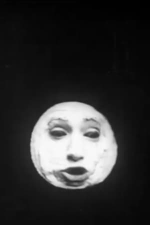 Mister Moon