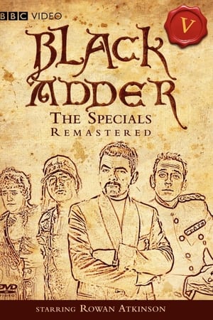 Blackadder Rides Again