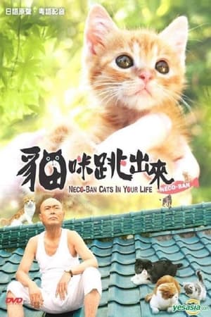 小猫跳出来3D