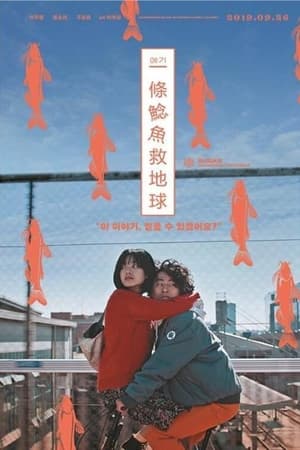 鲶鱼美琪