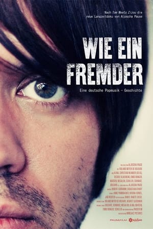 Wie ein Fremder: Eine deutsche Popmusik-Geschichte