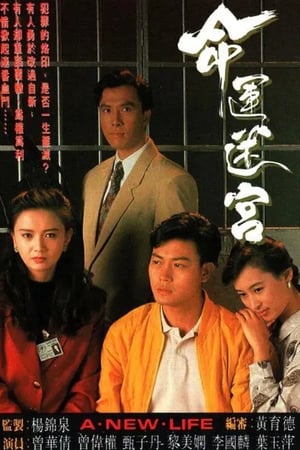 命运迷宫
