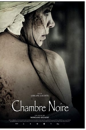 La chambre noire