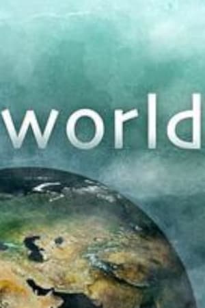 This World第11季
