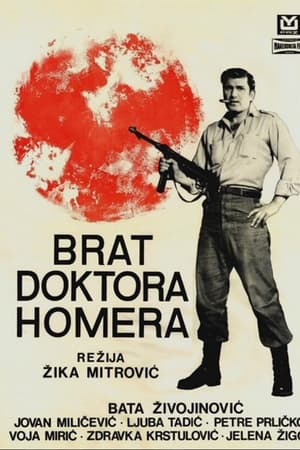 Brat doktora Homera