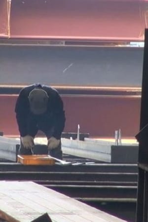 공사의 희로애락