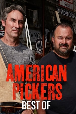 American Pickers: Best Of第5季