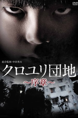 黑百合小区：序章