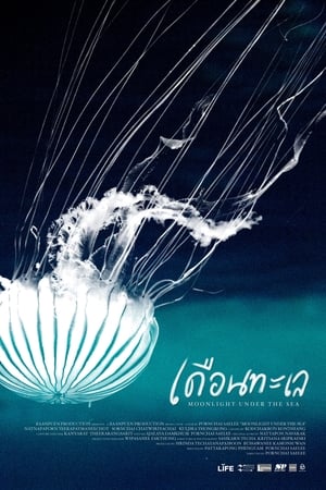 เดือนทะเล