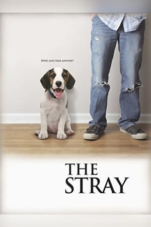 The Stray