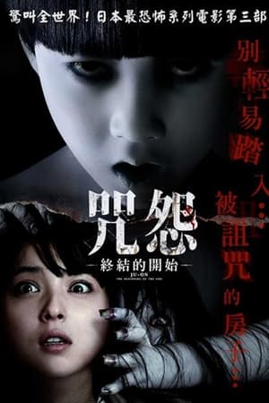 咒怨：终结的开始