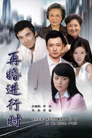 再婚进行时