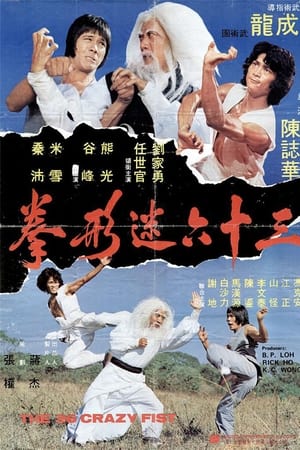 三十六迷形拳