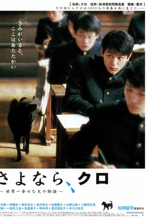 再见!小黑