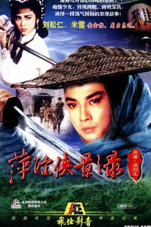 萍踪侠影录