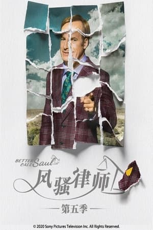 风骚律师第 5 季