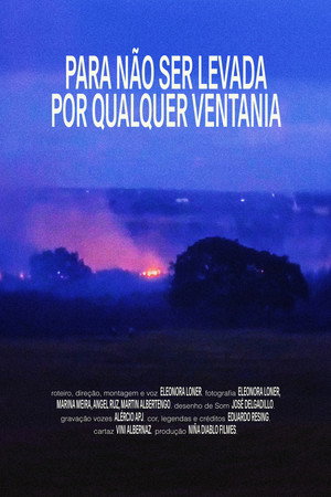 Para não ser levada por qualquer ventania