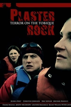 Plaster Rock