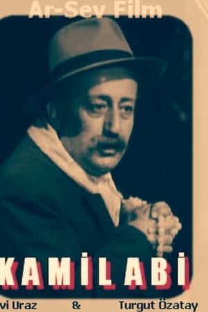 Kâmil Abi