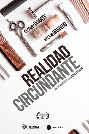 Realidad circundante
