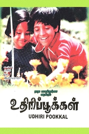 உதிரிப்பூக்கள்
