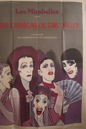 Les oiseaux de nuit