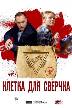Детективы Анны Малышевой第10季