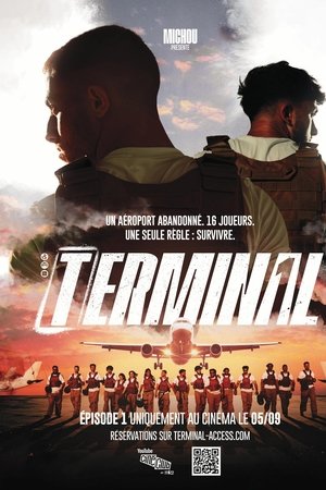 Terminal