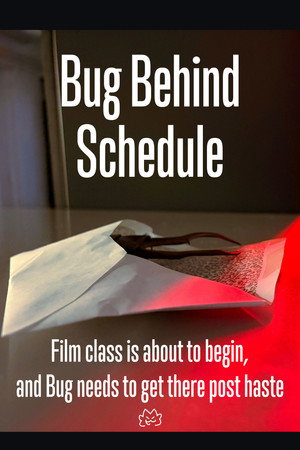 Bug Behind Schedule