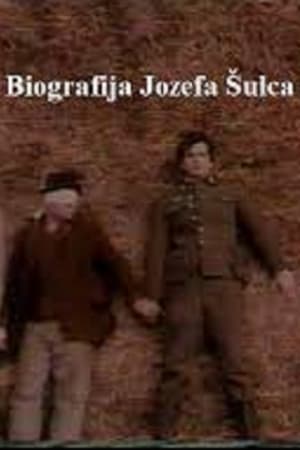 Biografija Jozefa Šulca