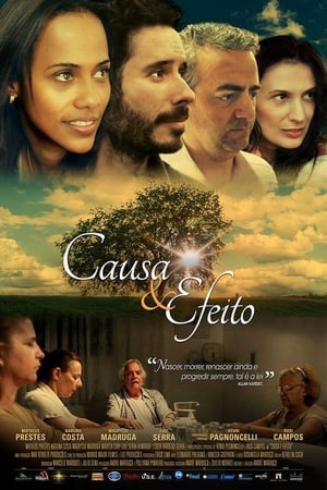 Causa & Efeito