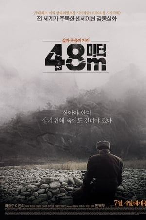 48米