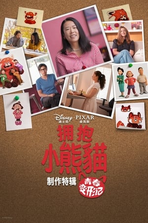 拥抱小熊猫：青春变形记背后的故事