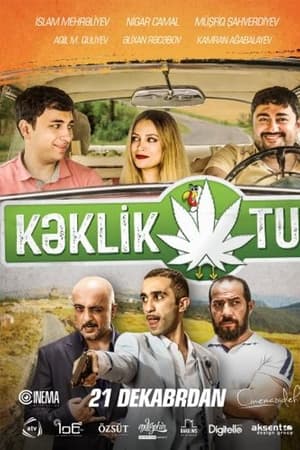 Kəklikotu