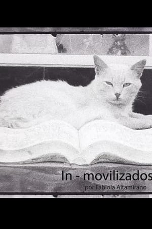 In - movilizados