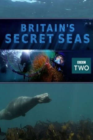 英国的秘密海洋