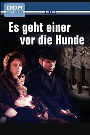Es geht einer vor die Hunde