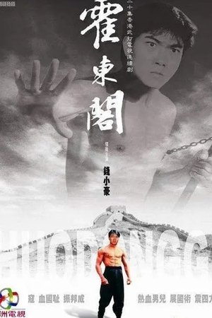 霍东阁